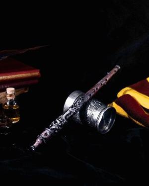 Young Hagrid's Wand - Harry Potter