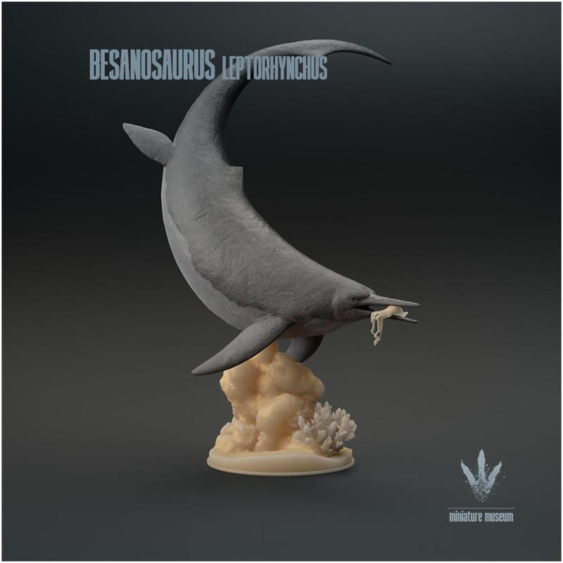 Besanosaurus leptorhynchus : Feeding