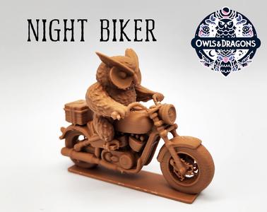 The Night Biker - Owls & Dragons