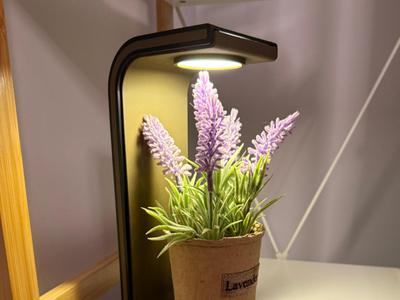 Lamp & Headphone holder