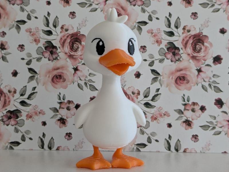 Cute Duck Printmon