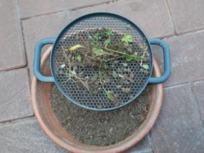 Sieve with handles