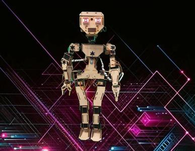 lIllI the Humanoid Robot