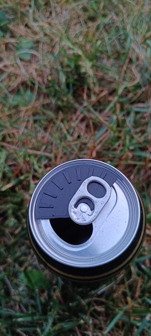 Can Lid