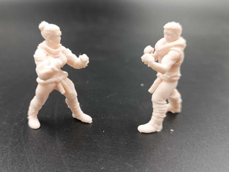 DnD Miniatures RPG - Warrior Monk  Dungeons