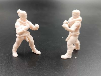 DnD Miniatures RPG - Warrior Monk  Dungeons