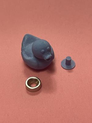 Duck magnets