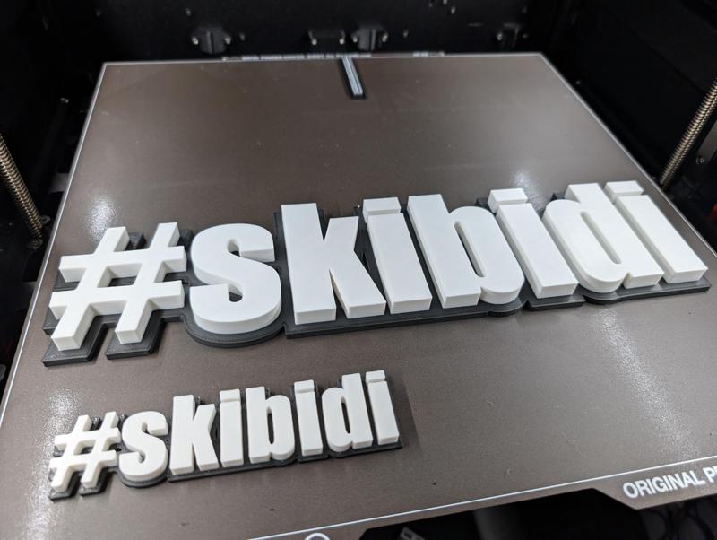 Skibidi signs