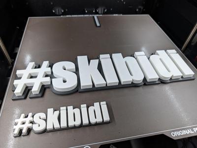 Skibidi signs