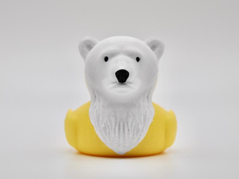 Polar Bear Duck