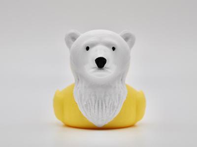 Polar Bear Duck