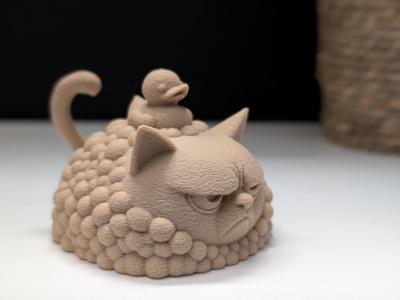 Grumpy Cat in the Bathtub