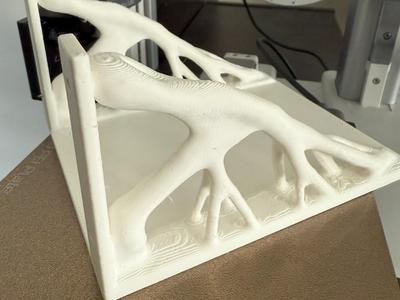 Topology Optimized Shelf