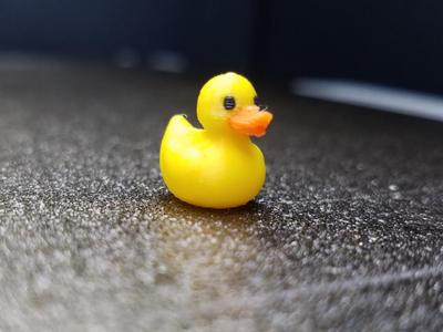 WORLDS SMALLEST RUBBER DUCK | AMS and Non AMS