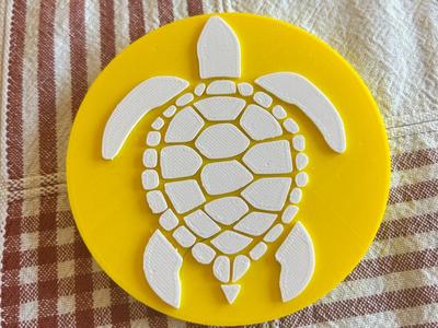 Turtle Coaster