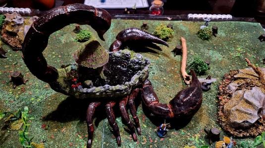 Scorpion surprise