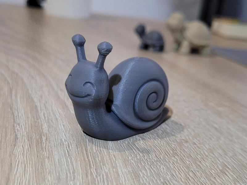 Cute little snail Gary