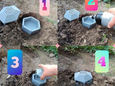 Snail trap