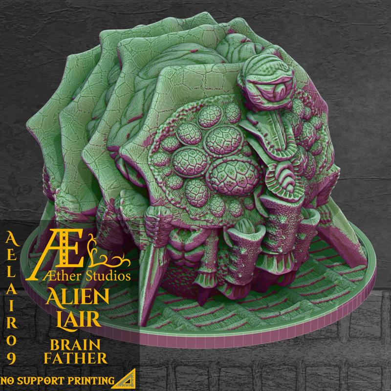 AELAIR09 - Brainfather