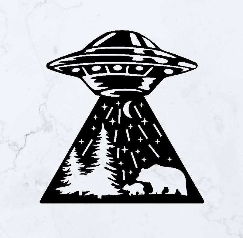 UFO Abduction