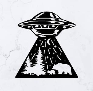 UFO Abduction
