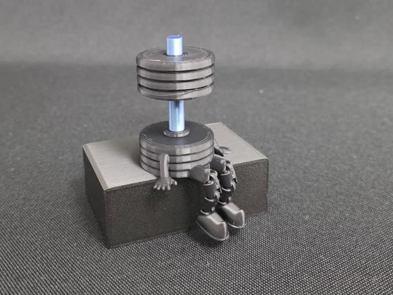 Articulated Flexi Dumbbell Fitness Trainer Gift 