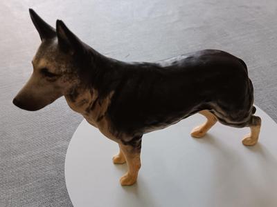 German Shepherd