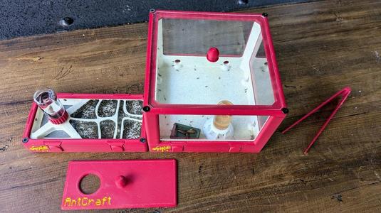 AntCraft small ant nest