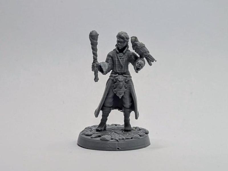 Human Warlock – Daily Miniature Challenge