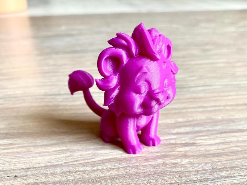 Little Lion