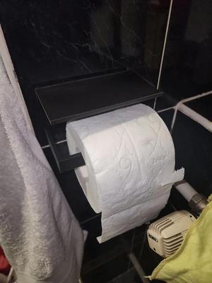 Toilet paper holder