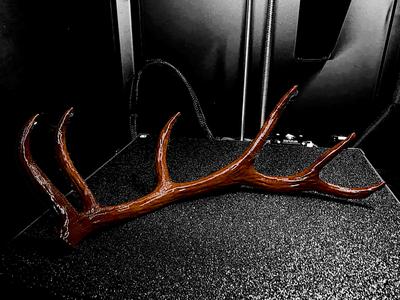 Elk Antler Shed Decor