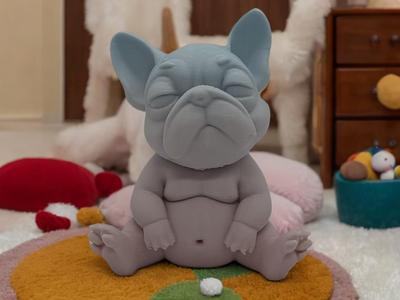 Chubby Frenchie Pup – A Chonky Charm of Cuteness