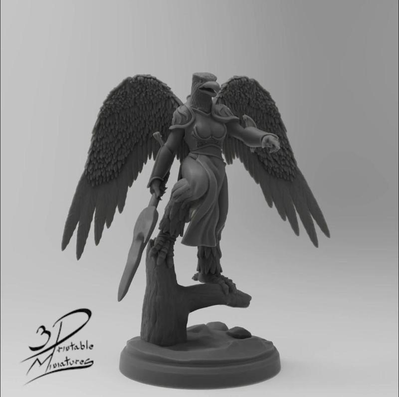 Aarakocra Warrior