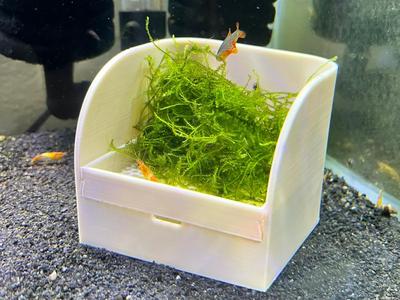 Egg Trap - egg scattering fish