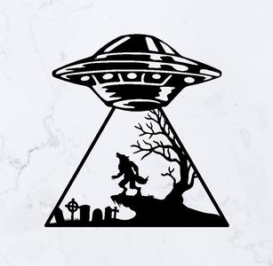 UFO Abduction