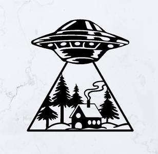 UFO Abduction
