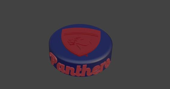 Florida Panthers Hockey Puck
