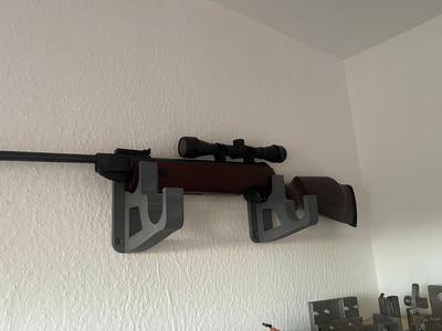 Wall mount for two air rifles