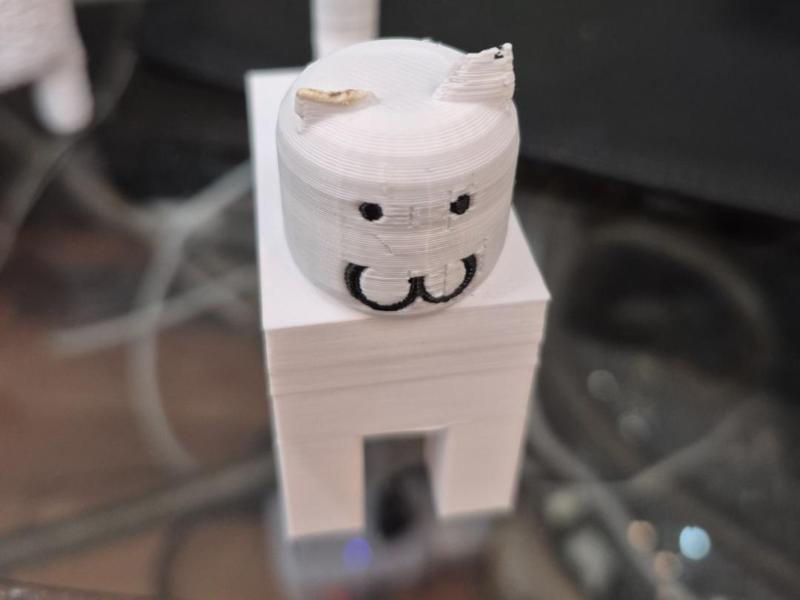 roblox cat