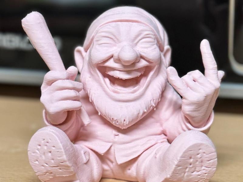 Colleague of the broad garden gnome