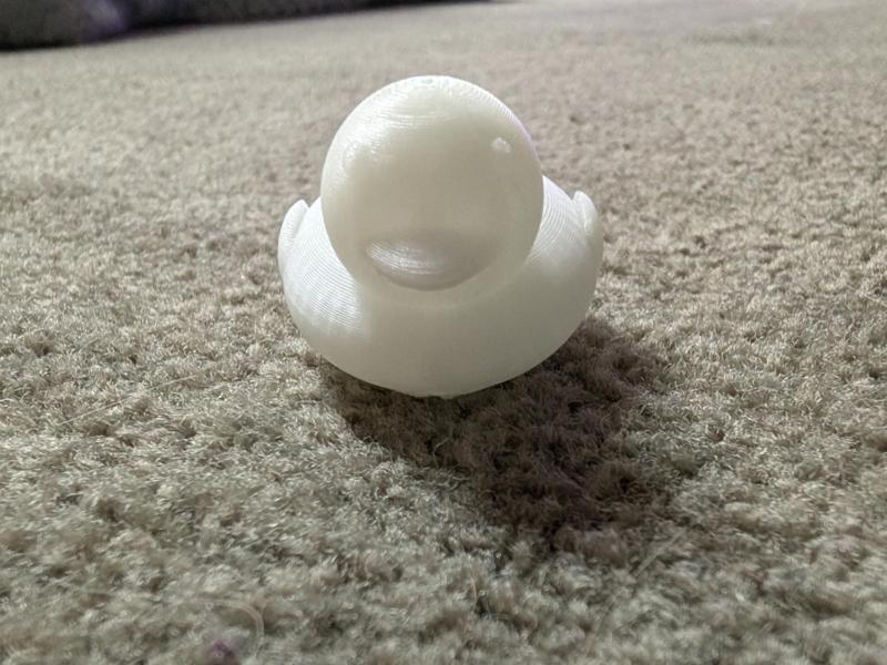 Duck