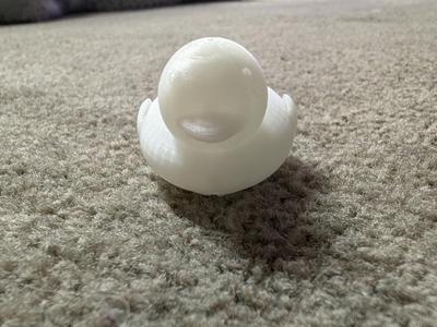 Duck