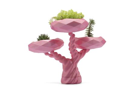Planter Tiny Bonsai