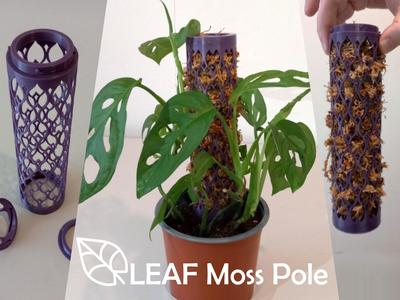 LEAF Moss Pole