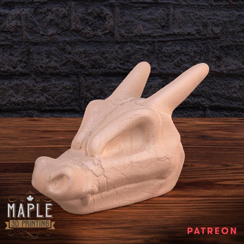 Charizard Skull - Solid and Hollow - Pokemon