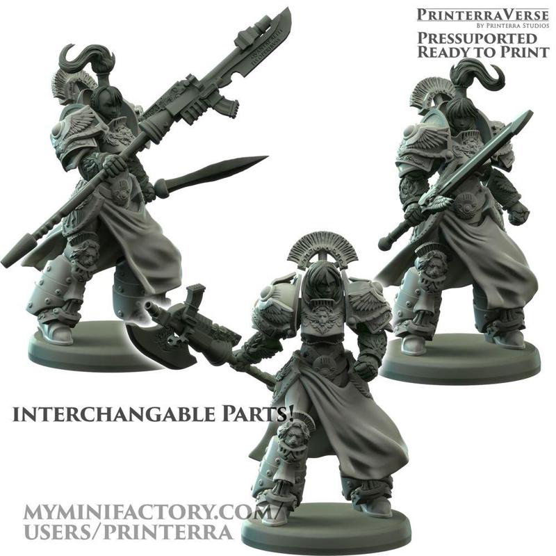 041 ROMANUS Warmaiden Golden Guard