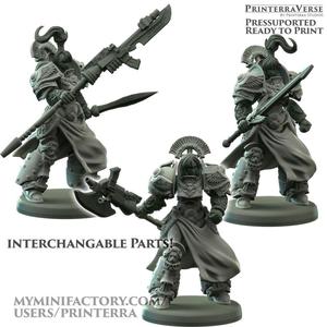 041 ROMANUS Warmaiden Golden Guard