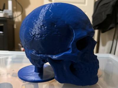 Skull Desk Hat Stand
