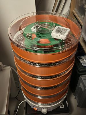 Convert food dehydrator to filament dryer
